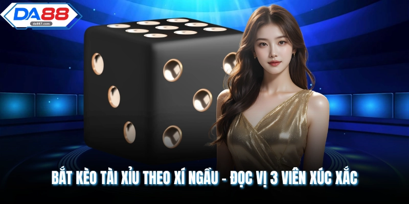 Bắt Kèo Tài Xỉu Theo Xí Ngầu - Công Thức Nhận 50 Triệu/Tháng