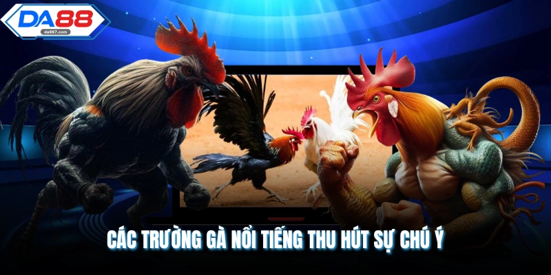 Các Trường Gà Nổi Tiếng Nhất Năm 2026 Theo Chuyên Gia