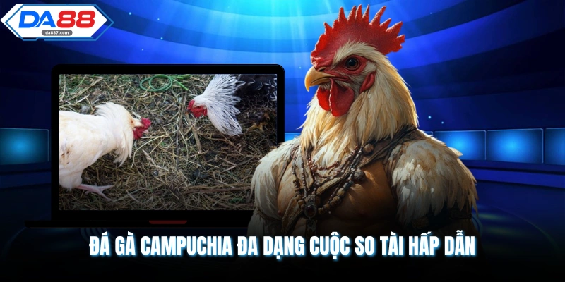 Đá Gà Campuchia | Giới Thiệu Đấu Trường 1000 Tỷ Hiện Nay