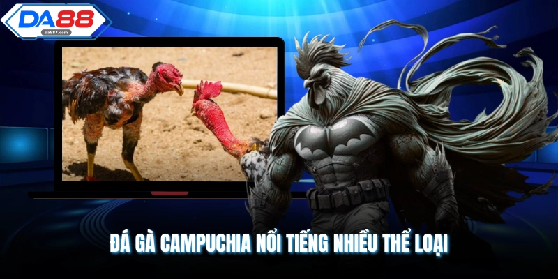 Đá Gà Campuchia | Giới Thiệu Đấu Trường 1000 Tỷ Hiện Nay