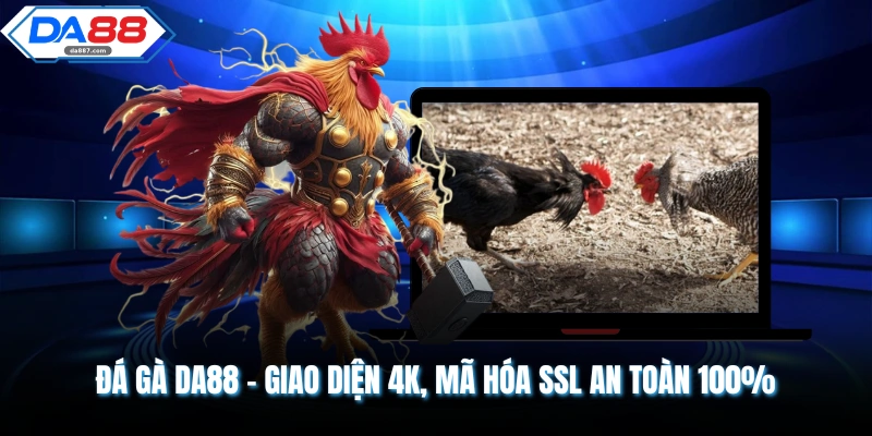 Đá Gà DA88 - Giao Diện 4K, Mã Hóa SSL An Toàn 100%