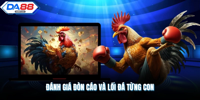 Cách Xem Gà Đá Hay - Nghệ Thuật Chọn Chiến Kê Bất Bại Cho Sư Kê