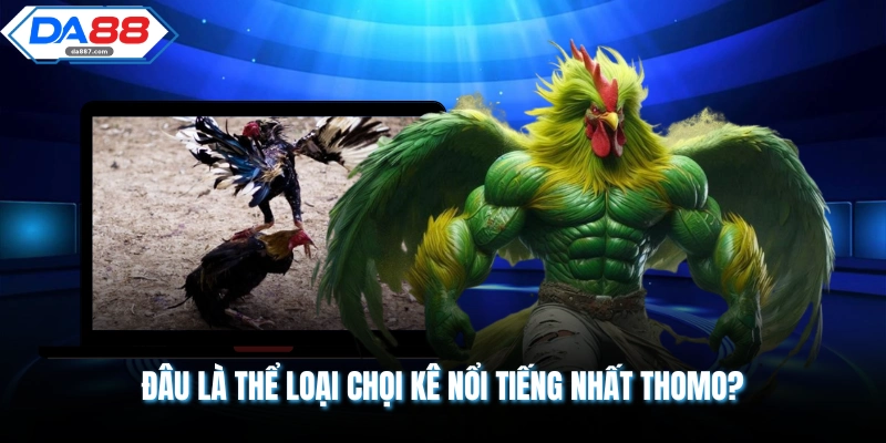 Trực Tiếp Đá Gà Thomo - Cơ Hội Trải Nghiệm 30 - 50 Trận/Ngày