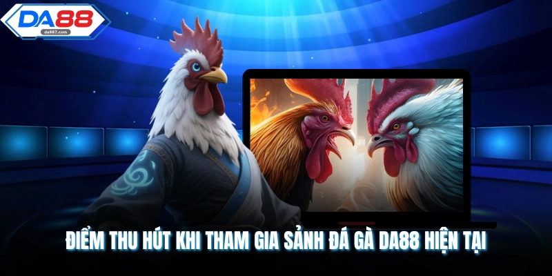 Sảnh Trực Tiếp Đá Gà DA88 Thu Hút Lượng Lớn Hội Viên