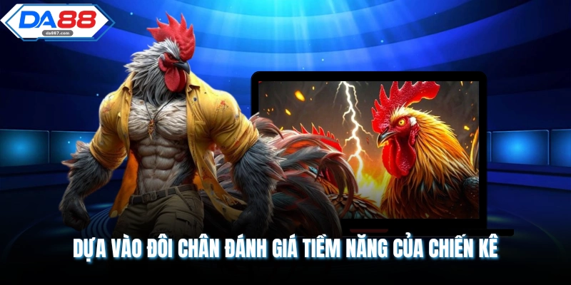 Cách Xem Gà Đá Hay - Nghệ Thuật Chọn Chiến Kê Bất Bại Cho Sư Kê