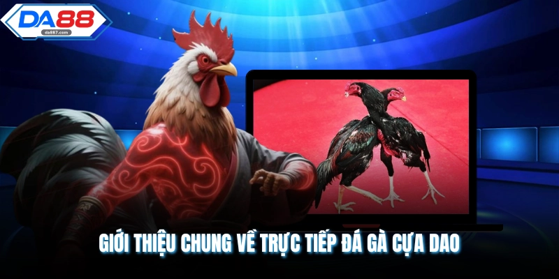 Trực Tiếp Đá Gà Cựa Dao Cực Kỳ Cuốn Hút Người Xem DA88