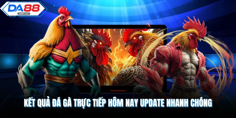 Kết Quả Đá Gà Trực Tiếp Hôm Nay - Update Liên Tục 365 Ngày