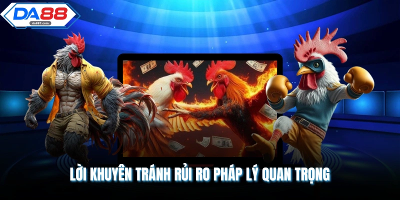 Đá Gà Có Phạm Pháp Không? Tìm Hiểu Từ A Đến Z Cùng DA88