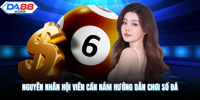Hướng Dẫn Chơi Số Đá | 3 Nguyên Tắc Dễ Hiểu Cho Tân Thủ