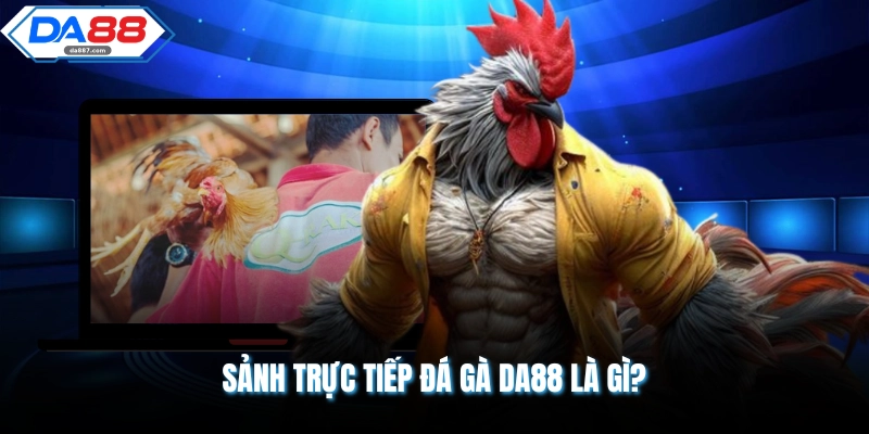 Sảnh Trực Tiếp Đá Gà DA88 Thu Hút Lượng Lớn Hội Viên