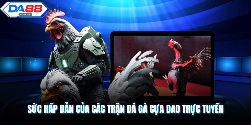 Trực Tiếp Đá Gà Cựa Dao Cực Kỳ Cuốn Hút Người Xem DA88